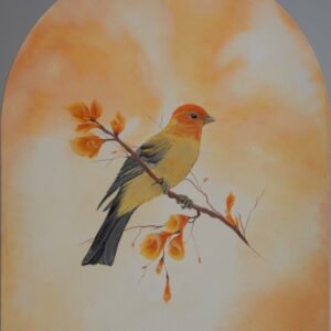 Red Finch